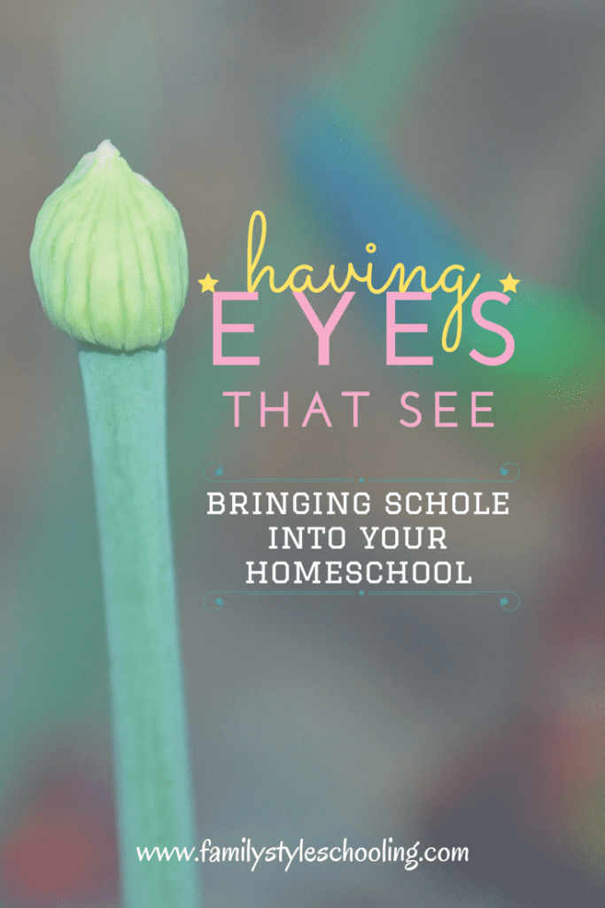 having eyes that see - bringing schole into your homeschool