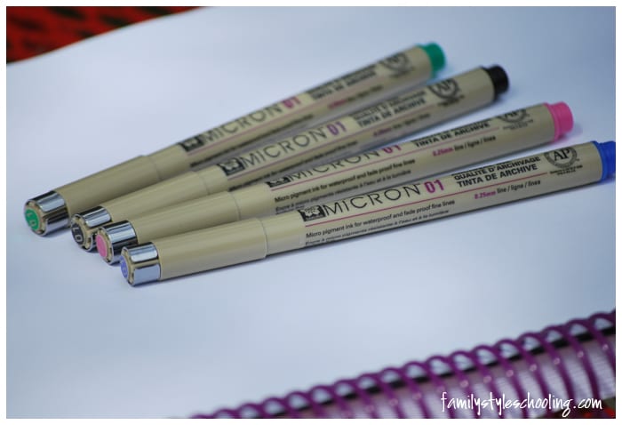 Highlighting system micron pens