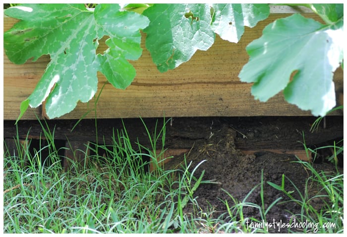 elevated planter box cave in