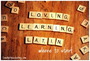 Where to begin in Latin Studies