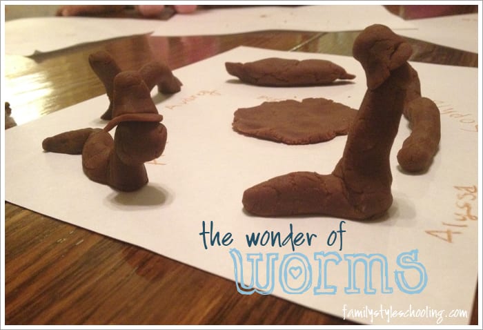 the wonder of worms
