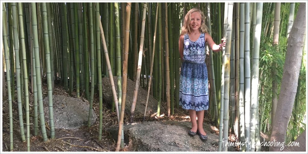 playing in the bamboo at the Japanese Gardens