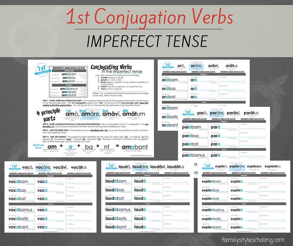 1st Conjugation Verbs Imperfect Tense