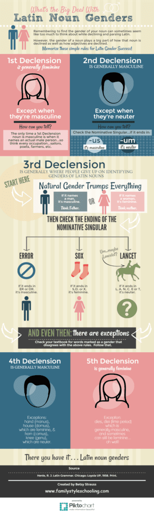 Latin Noun Gender Helpful Infographic