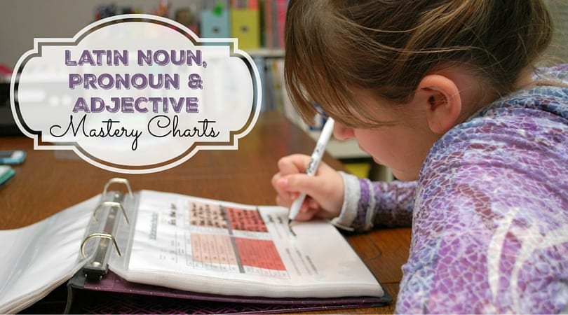 Latin Noun, Pronoun, and Adjective Declensions charts for practice.