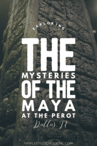 Maya Hidden Worlds Revealed