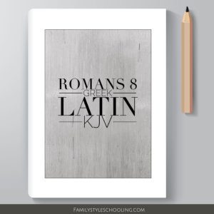 Romans 8 Latin Workbook