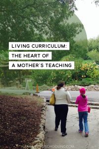 christian homeschool mother