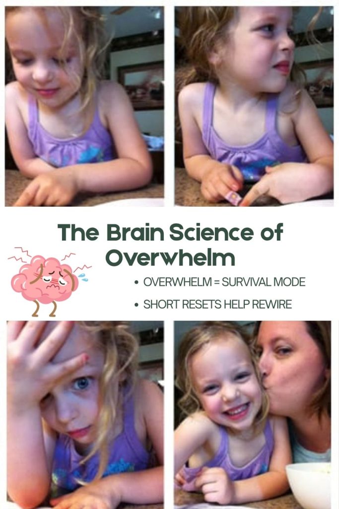 Brain science of overwhelm in alternative learners